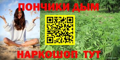 МДПВ Гусев